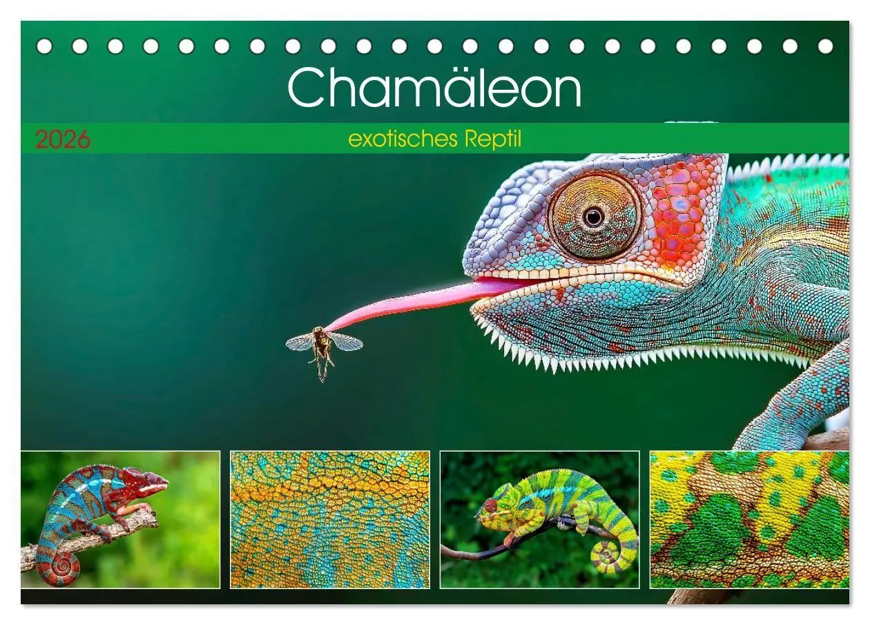 Cover: 9783516691450 | Chamäleon - exotisches Reptil (Tischkalender 2026 DIN A5 quer),...