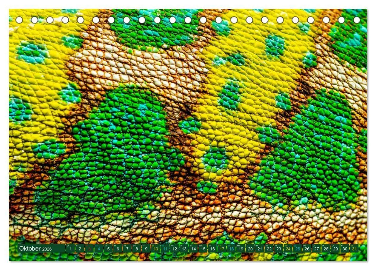 Bild: 9783516691450 | Chamäleon - exotisches Reptil (Tischkalender 2026 DIN A5 quer),...