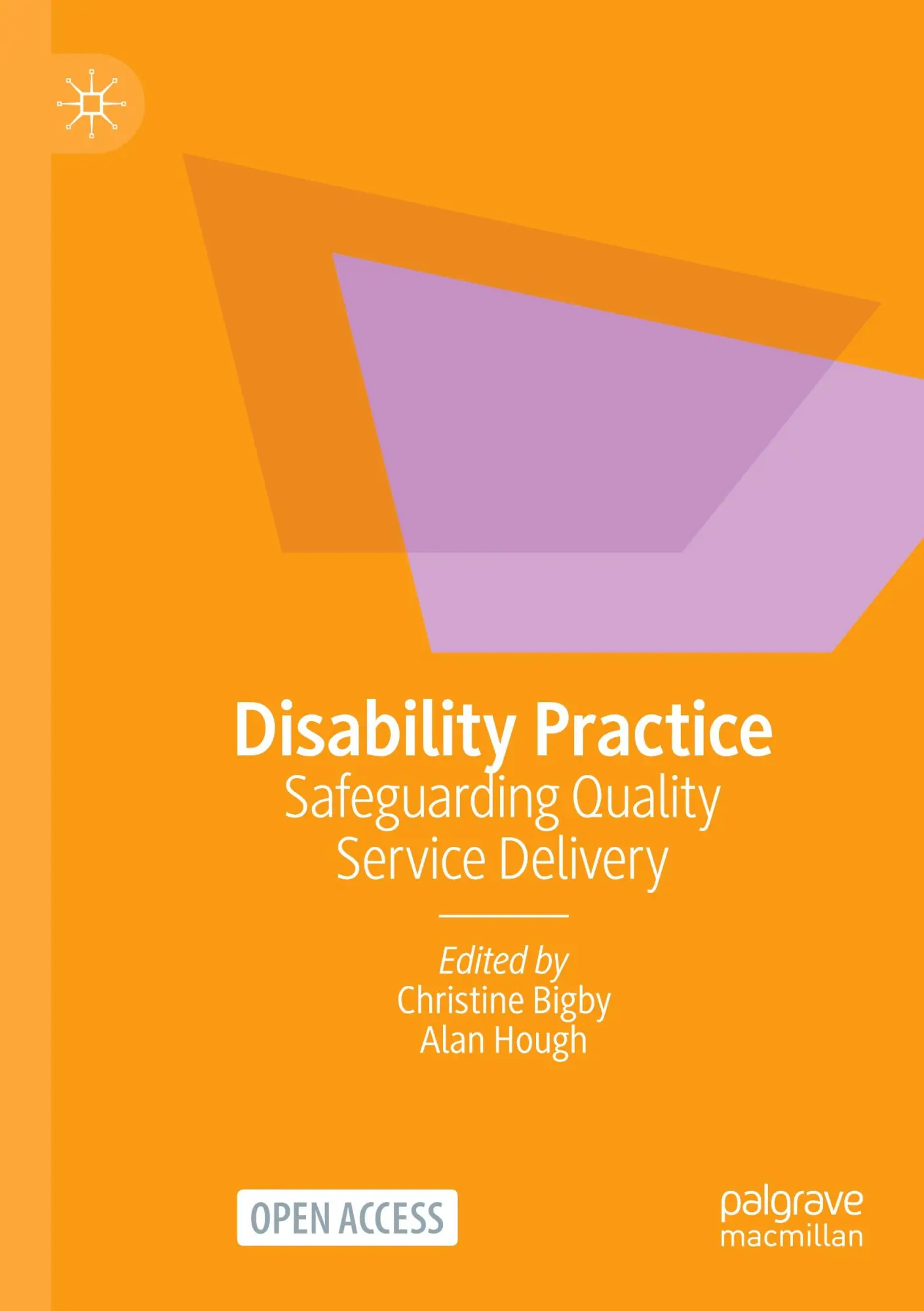 Cover: 9789819961450 | Disability Practice | Safeguarding Quality Service Delivery | Buch