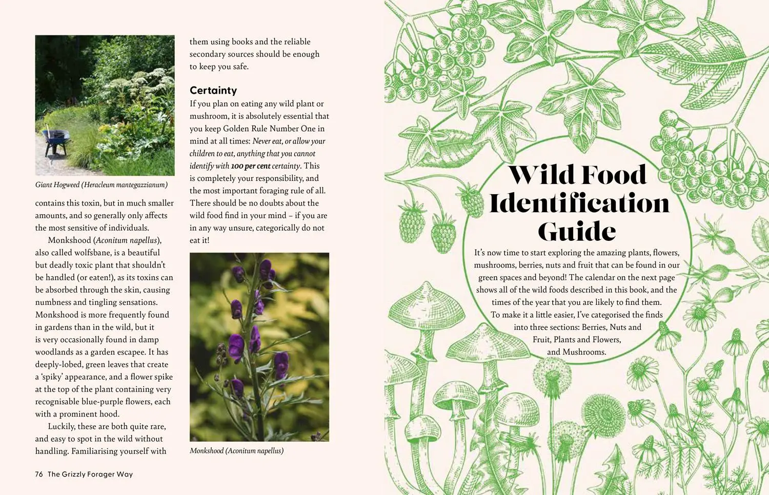 Bild: 9780008701550 | The Grizzly Forager's Guide to Family Foraging | John Shahabeddin