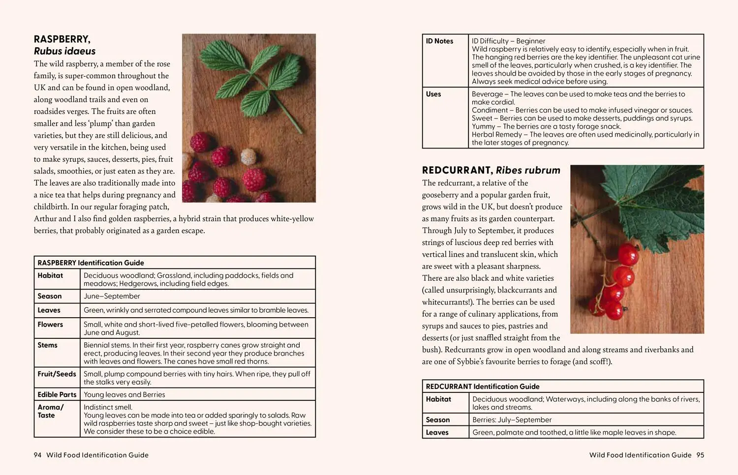 Bild: 9780008701550 | The Grizzly Forager's Guide to Family Foraging | John Shahabeddin