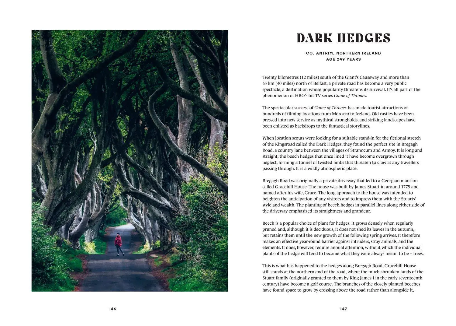 Bild: 9780008791650 | The History Trees | Extraordinary Tales of Trees Through Time | Salter