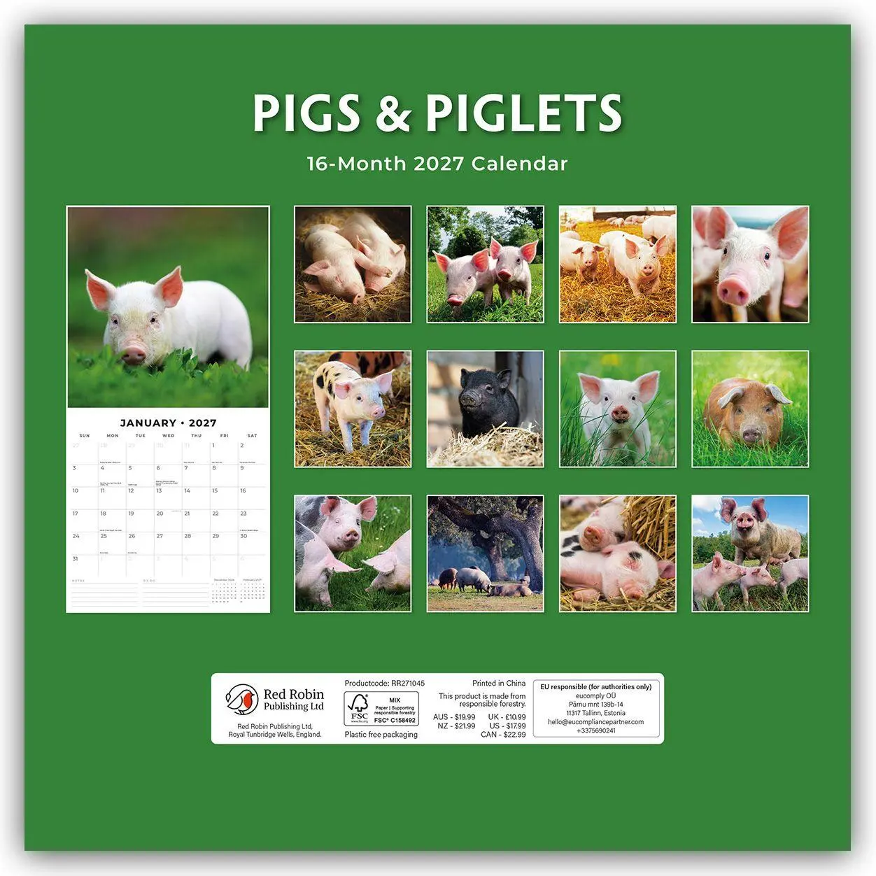 Rückseite: 9781837011650 | Pigs &amp; Piglets - Schweine &amp; Ferkel 2027 - 16-Monatskalender | Red