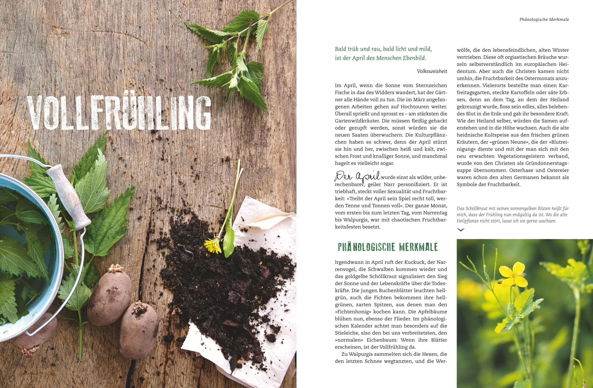 Bild: 9783833851650 | Der Selbstversorger: Mein Gartenjahr | Wolf-Dieter Storl | Buch | 2016