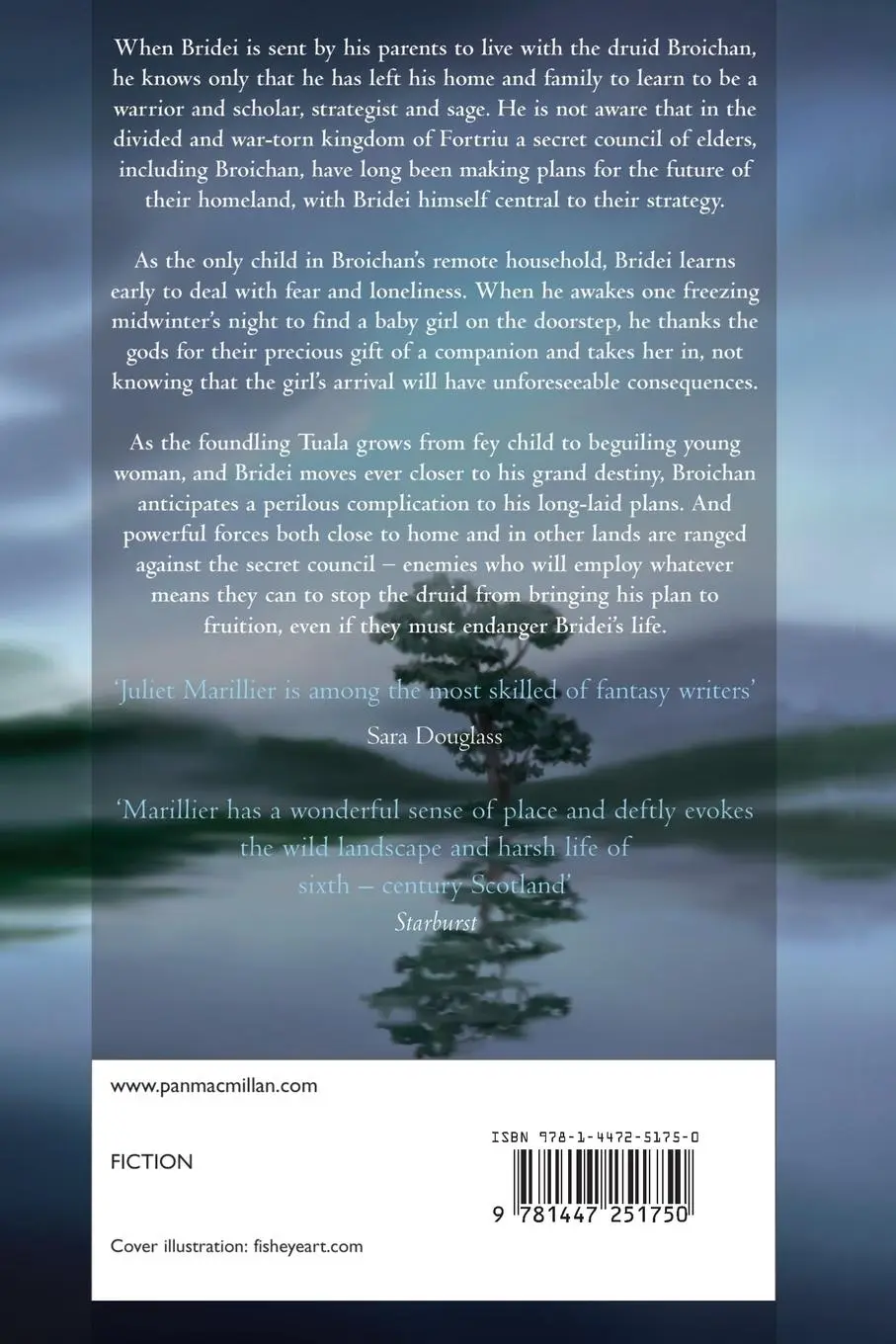 Rückseite: 9781447251750 | The Dark Mirror | Juliet Marillier | Taschenbuch | Englisch | 2013