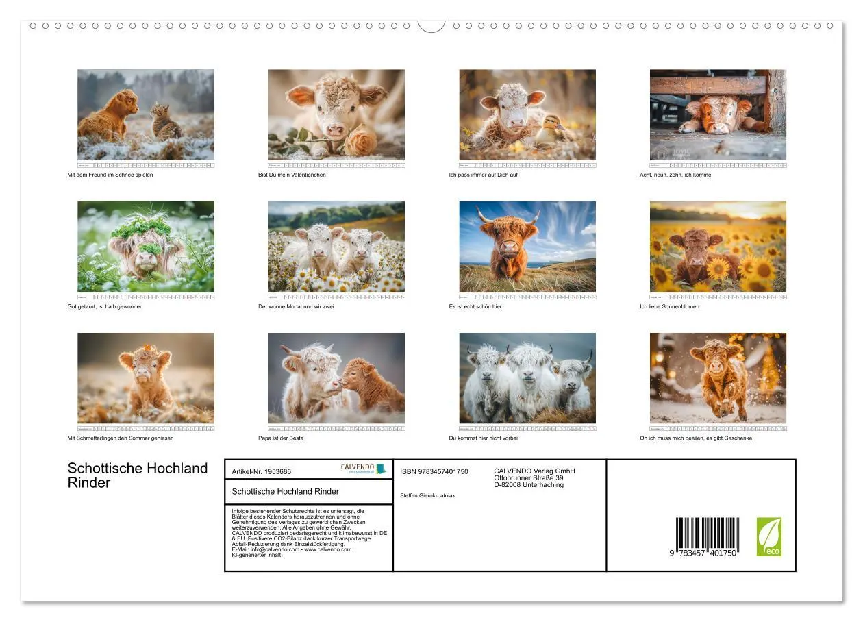 Bild: 9783457401750 | Schottische Hochland Rinder (hochwertiger Premium Wandkalender 2026...