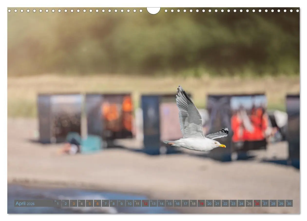 Bild: 9783457571750 | Zingst - die Ostsee von ihrer schönsten Seite (Wandkalender 2026...