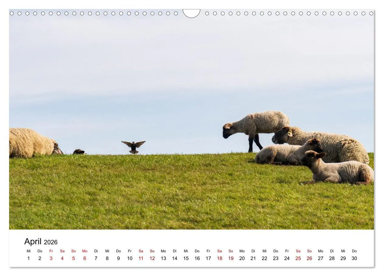 Bild: 9783457641750 | Ostfriesland - Ein Jahr in Bildern (Wandkalender 2026 DIN A3 quer),...