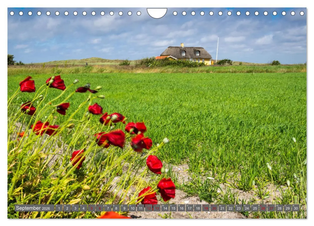 Bild: 9783457881750 | Dänemark - Die wunderschöne Westküste (Wandkalender 2026 DIN A4...