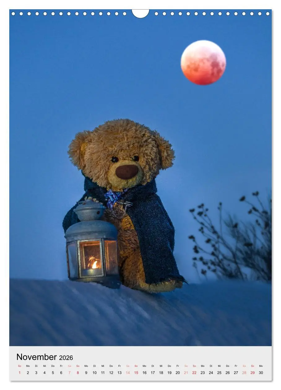 Bild: 9783516341850 | Travelling Teddy liebt es Bunt (Wandkalender 2026 DIN A3 hoch),...