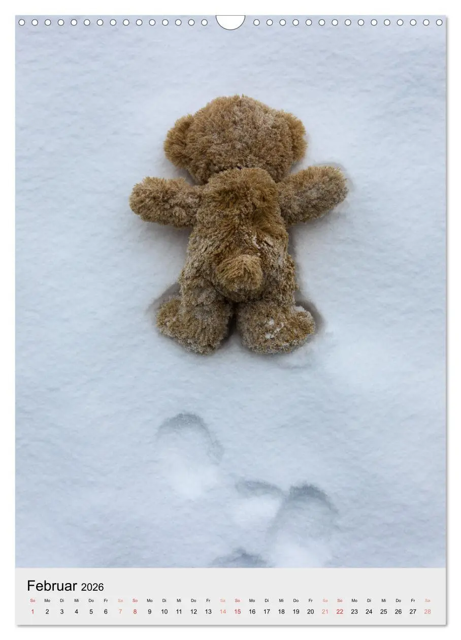 Bild: 9783516341850 | Travelling Teddy liebt es Bunt (Wandkalender 2026 DIN A3 hoch),...