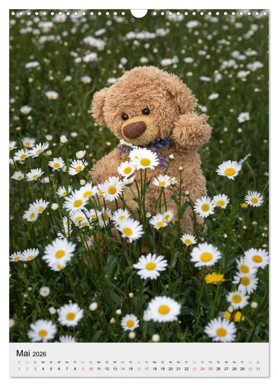 Bild: 9783516341850 | Travelling Teddy liebt es Bunt (Wandkalender 2026 DIN A3 hoch),...