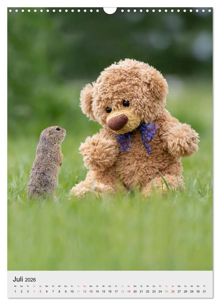 Bild: 9783516341850 | Travelling Teddy liebt es Bunt (Wandkalender 2026 DIN A3 hoch),...