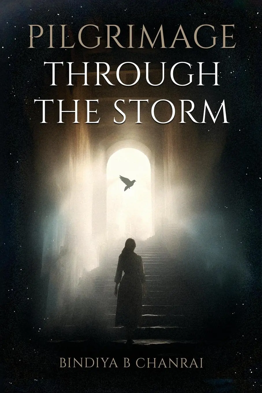 Cover: 9798990741850 | Pilgrimage Through the Storm | Bindiya B Chanrai | Taschenbuch | 2024