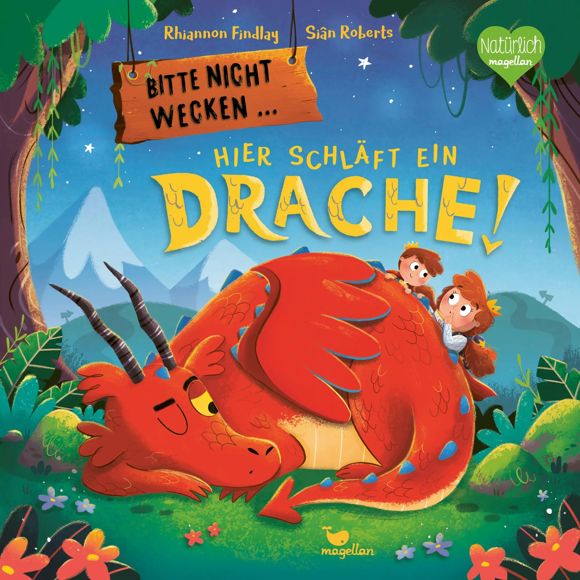 Cover: 9783734821950 | Bitte nicht wecken ... Hier schläft ein Drache! | Rhiannon Findlay