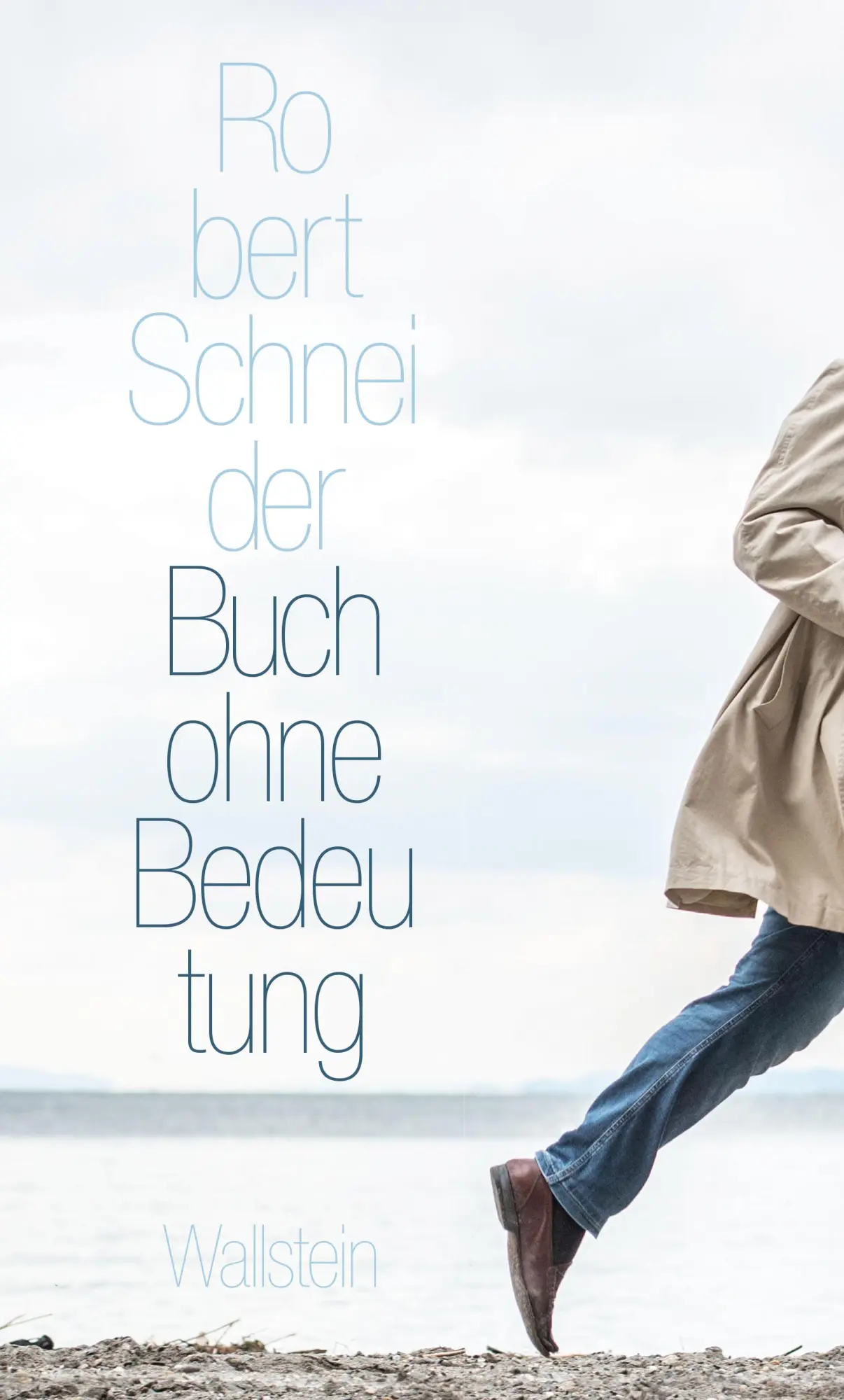 Cover: 9783835351950 | Buch ohne Bedeutung | Robert Schneider | Buch | 212 S. | Deutsch