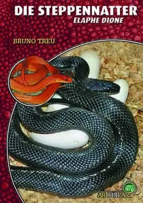 Cover: 9783866591950 | Die Steppennatter | Elaphe dione | Bruno Treu | Taschenbuch | 64 S.