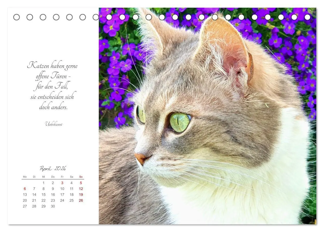 Bild: 9783457442050 | Catlovers - Ein Jahr voller Samtpfoten und charmanten Weisheiten...