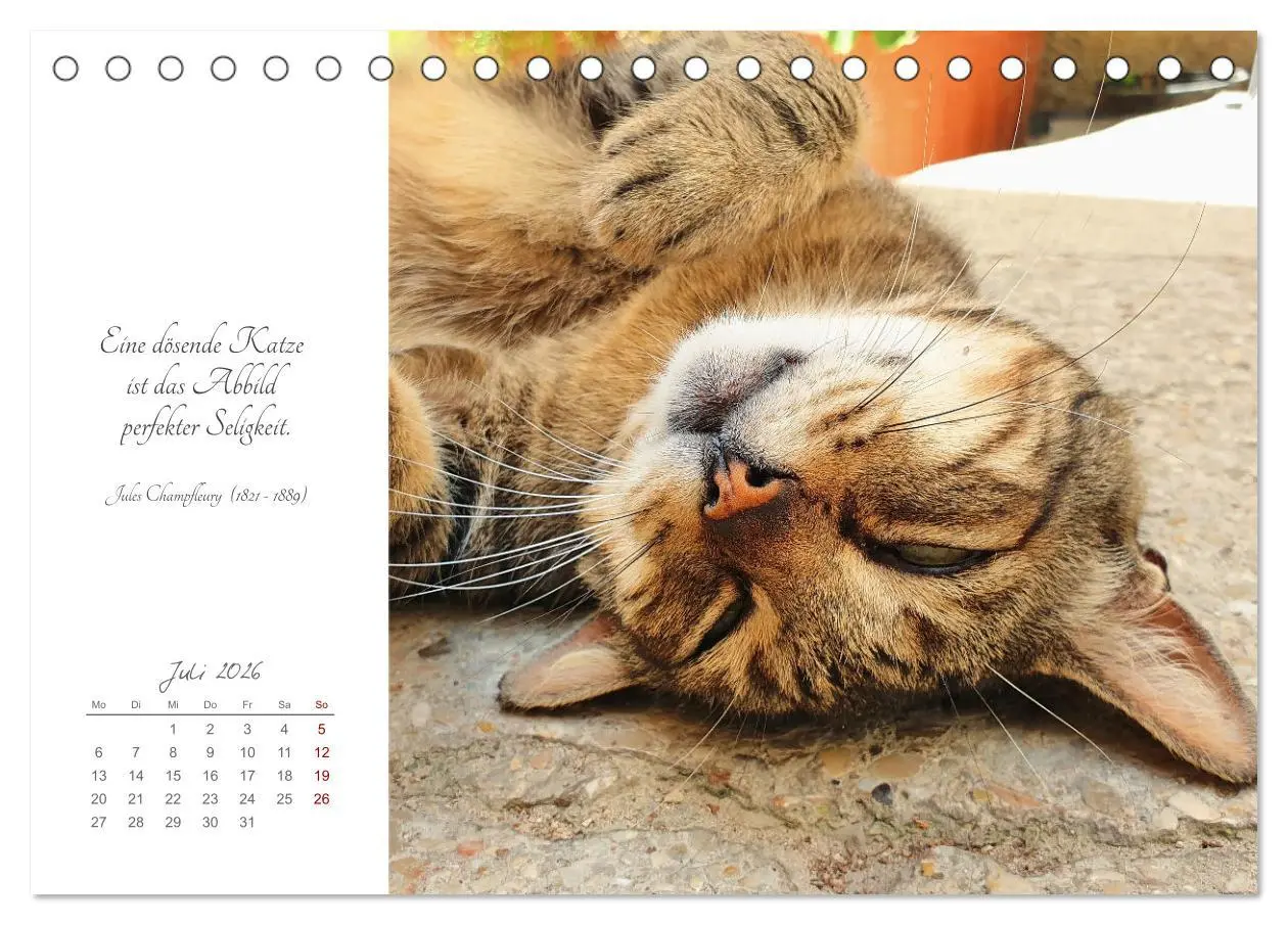 Bild: 9783457442050 | Catlovers - Ein Jahr voller Samtpfoten und charmanten Weisheiten...