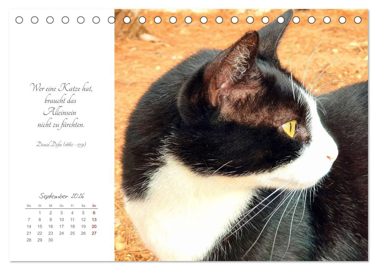 Bild: 9783457442050 | Catlovers - Ein Jahr voller Samtpfoten und charmanten Weisheiten...