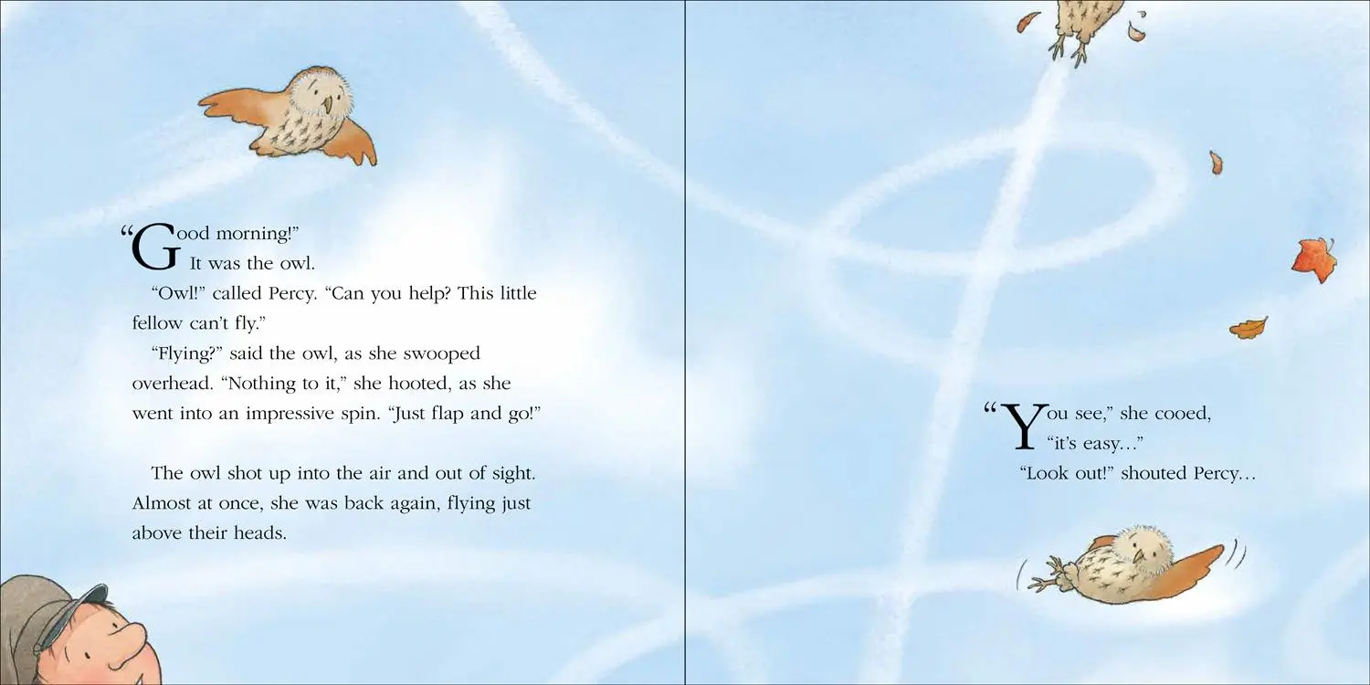 Bild: 9780008642150 | Owl's Lesson | Nick Butterworth | Taschenbuch | Englisch | 2024