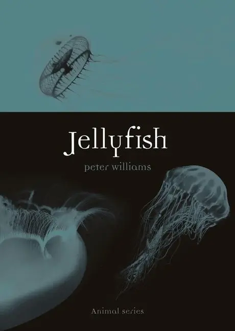 Cover: 9781789142150 | Jellyfish | Peter Williams | Taschenbuch | Kartoniert / Broschiert