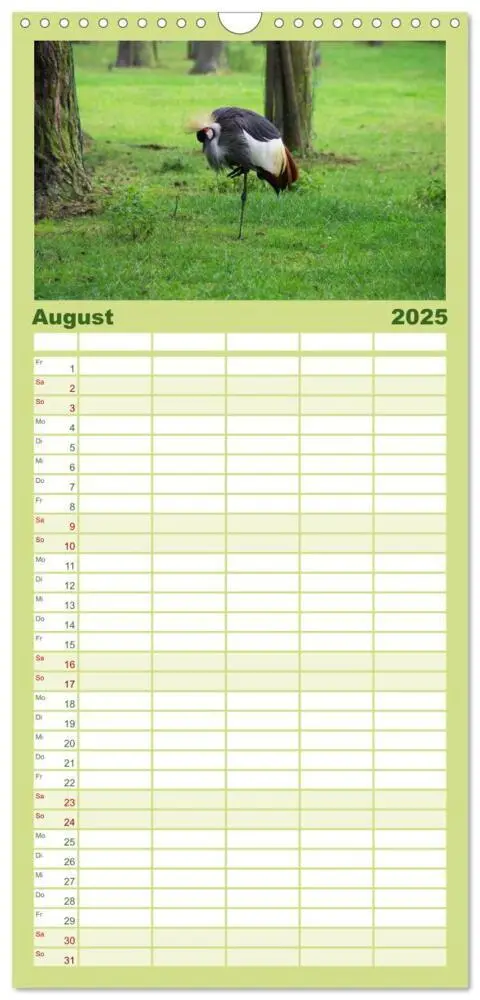 Bild: 9783457122150 | Familienplaner 2025 - Welt der Tiere mit 5 Spalten (Wandkalender,...