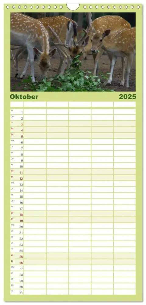 Bild: 9783457122150 | Familienplaner 2025 - Welt der Tiere mit 5 Spalten (Wandkalender,...