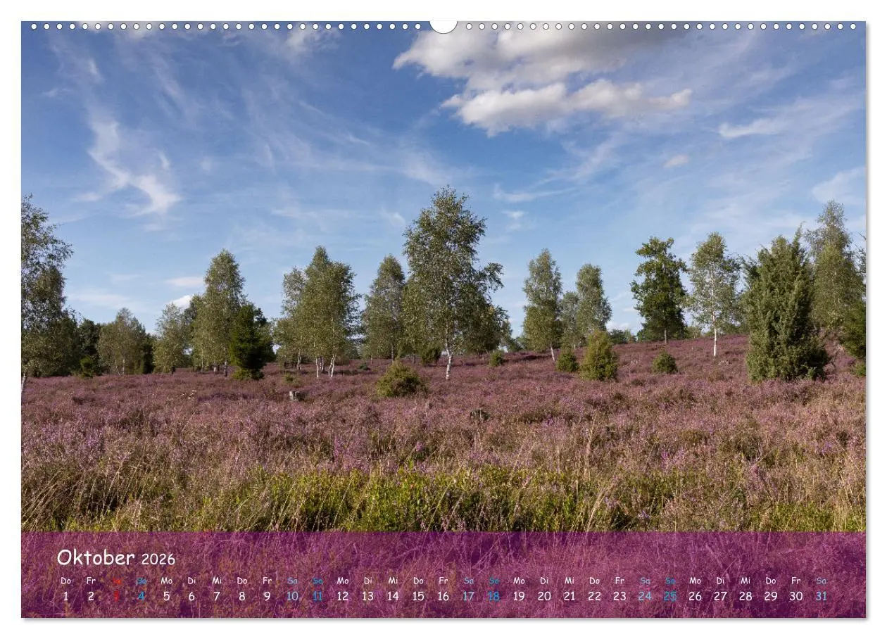 Bild: 9783457422250 | Im Herzen der Lüneburger Heide (hochwertiger Premium Wandkalender...