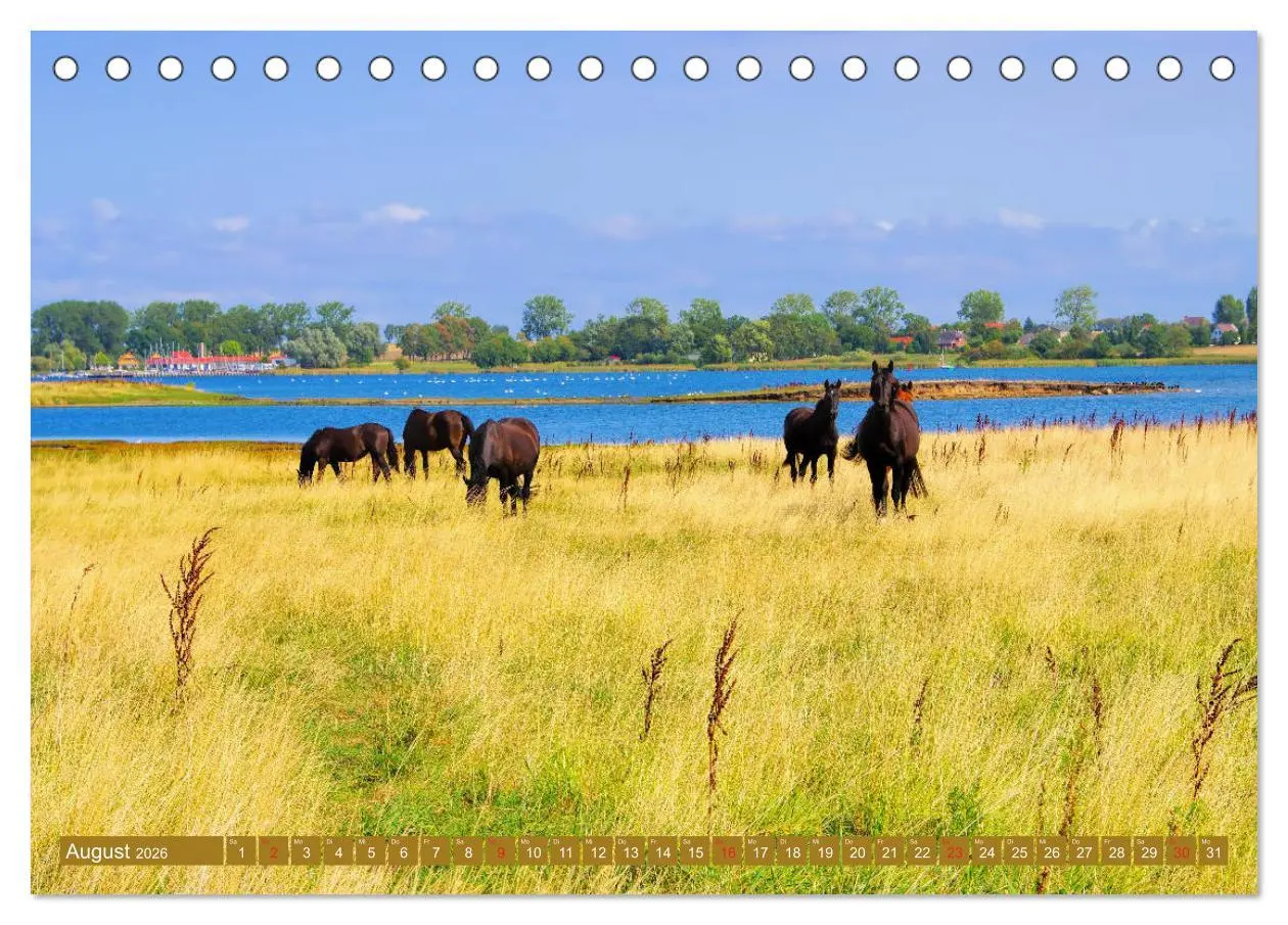 Bild: 9783457802250 | Insel Poel - Auszeit an der Ostsee (Tischkalender 2026 DIN A5...