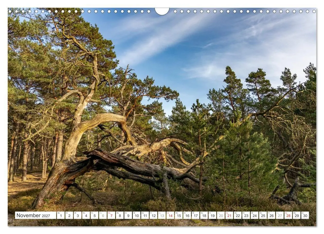 Bild: 9783516752250 | Mecklenburg-Vorpommern - Fischland-Darß-Zingst (Wandkalender 2027...