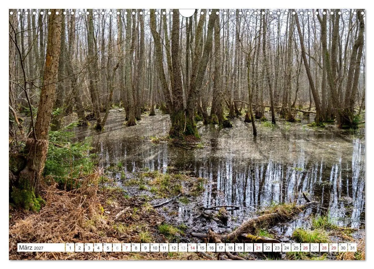 Bild: 9783516752250 | Mecklenburg-Vorpommern - Fischland-Darß-Zingst (Wandkalender 2027...