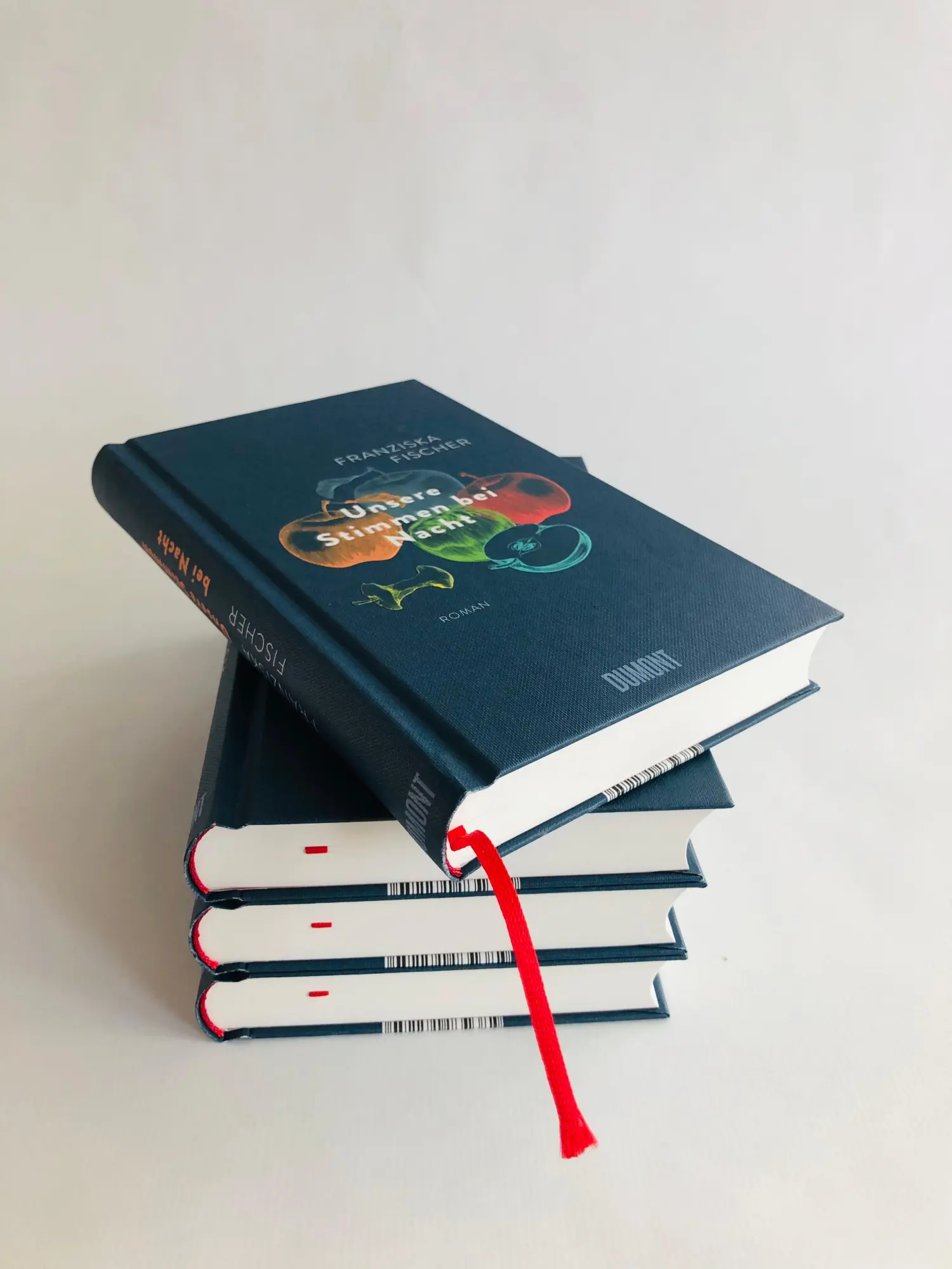 Bild: 9783832182250 | Unsere Stimmen bei Nacht | Roman | Franziska Fischer | Buch | 288 S.