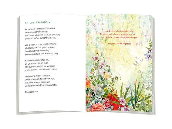 Bild: 9783987002250 | Blumen der Freude... | ... schenke ich dir | Taschenbuch | 20 S.