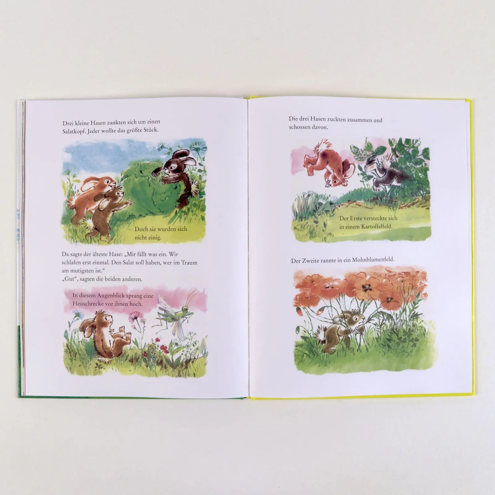 Bild: 9783407772350 | Dreimal kleiner Hase | Drei Bilderbuchgeschichten in einem Band | Buch