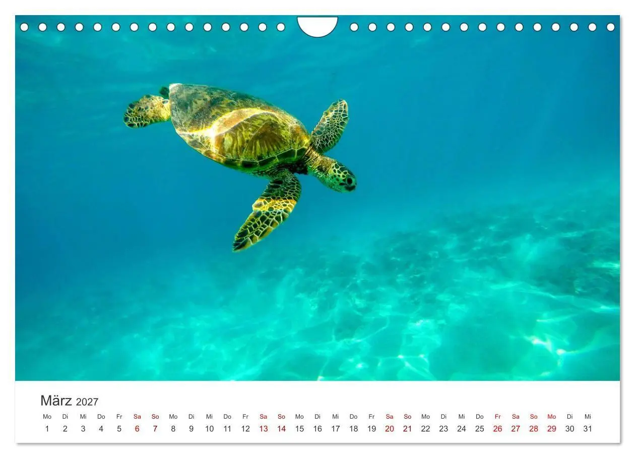 Bild: 9783569382350 | Hawaii - Ein tropisches Paradies. (Wandkalender 2027 DIN A4 quer),...
