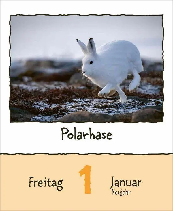 Bild: 9783819302350 | Tierisch unterwegs 2027 | Korsch Verlag | Kalender | 328 S. | Deutsch