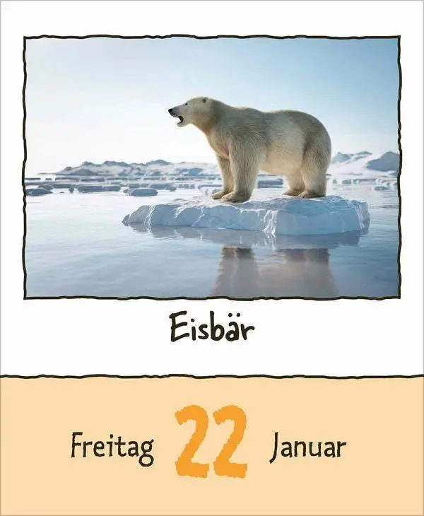 Bild: 9783819302350 | Tierisch unterwegs 2027 | Korsch Verlag | Kalender | 328 S. | Deutsch