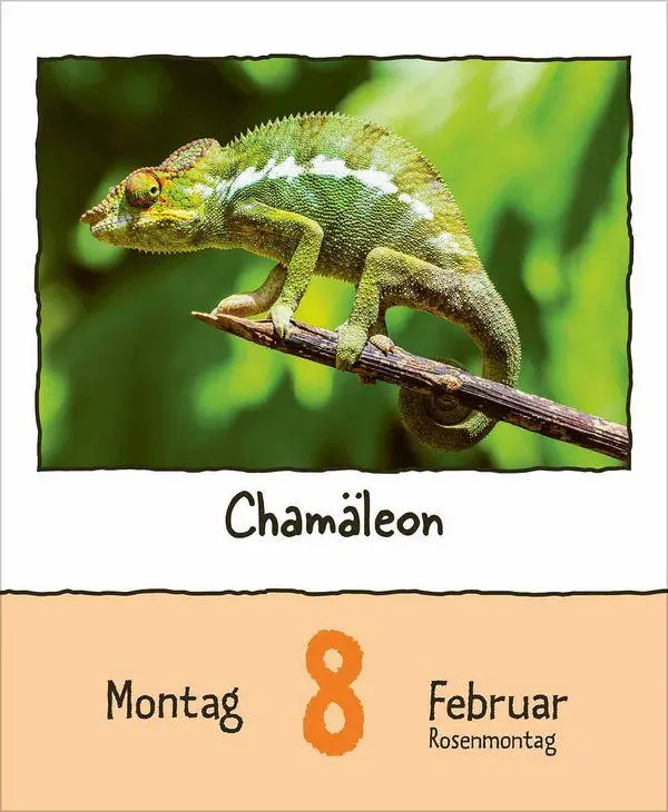 Bild: 9783819302350 | Tierisch unterwegs 2027 | Korsch Verlag | Kalender | 328 S. | Deutsch