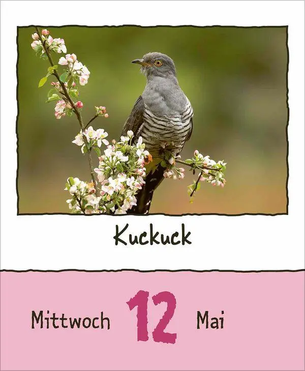 Bild: 9783819302350 | Tierisch unterwegs 2027 | Korsch Verlag | Kalender | 328 S. | Deutsch
