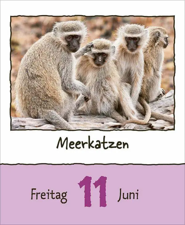 Bild: 9783819302350 | Tierisch unterwegs 2027 | Korsch Verlag | Kalender | 328 S. | Deutsch