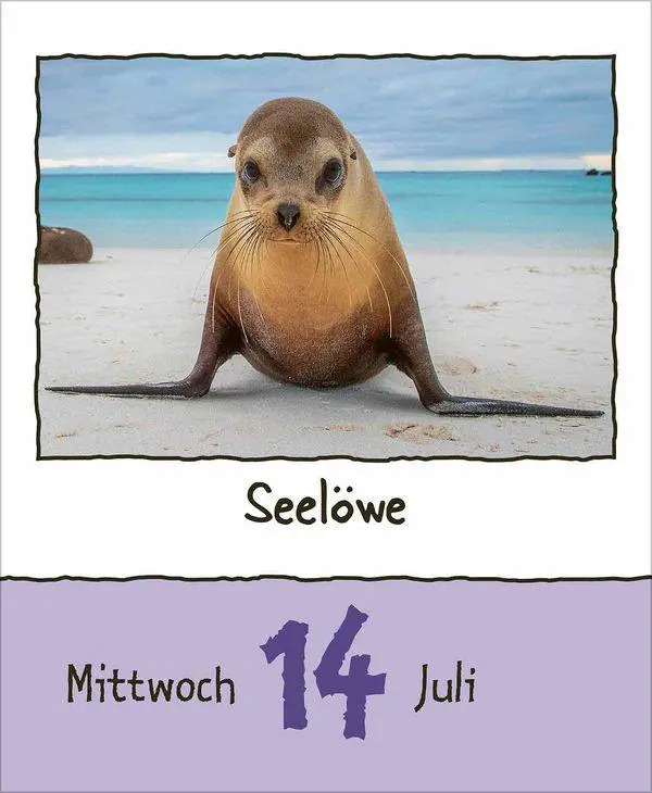 Bild: 9783819302350 | Tierisch unterwegs 2027 | Korsch Verlag | Kalender | 328 S. | Deutsch