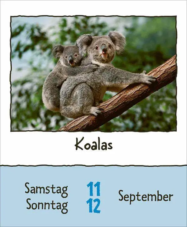 Bild: 9783819302350 | Tierisch unterwegs 2027 | Korsch Verlag | Kalender | 328 S. | Deutsch
