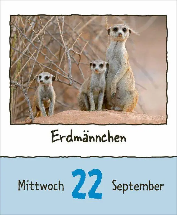 Bild: 9783819302350 | Tierisch unterwegs 2027 | Korsch Verlag | Kalender | 328 S. | Deutsch