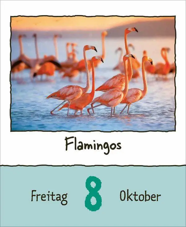 Bild: 9783819302350 | Tierisch unterwegs 2027 | Korsch Verlag | Kalender | 328 S. | Deutsch