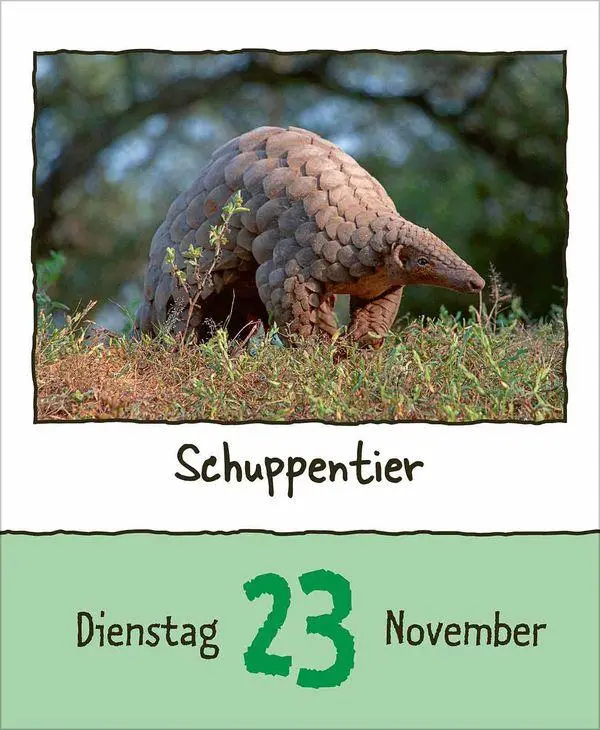 Bild: 9783819302350 | Tierisch unterwegs 2027 | Korsch Verlag | Kalender | 328 S. | Deutsch