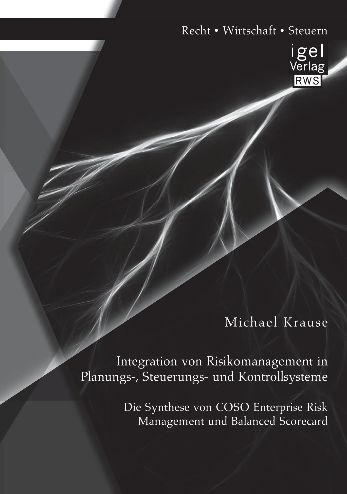 Cover: 9783954852550 | Integration von Risikomanagement in Planungs-, Steuerungs- und...