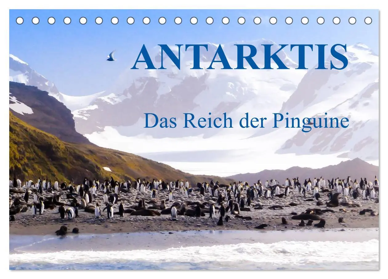Cover: 9783516192650 | Antarktis - Das Reich der Pinguine (Tischkalender 2026 DIN A5...