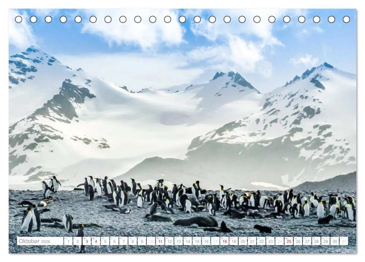 Bild: 9783516192650 | Antarktis - Das Reich der Pinguine (Tischkalender 2026 DIN A5...