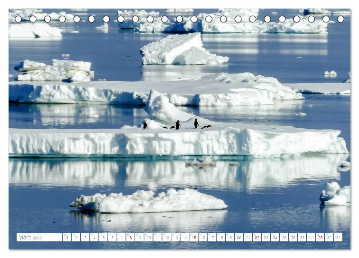 Bild: 9783516192650 | Antarktis - Das Reich der Pinguine (Tischkalender 2026 DIN A5...